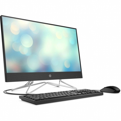 Компютер HP 24-df0016ur AiO / Athlon 3050U (14P87EA)