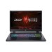 Ноутбук Acer Nitro 17 AN17-51 (NH.QK5EU.005)