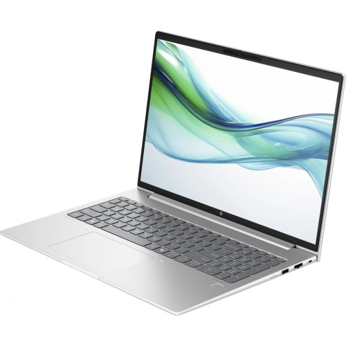 Ноутбук HP ProBook 460 G11 (8Z680AV_V1)