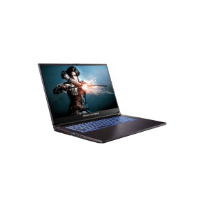 Ноутбук Dream Machines RG2050-17 (RG2050-17UA31)