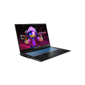 Ноутбук Dream Machines RG5070-17 (RG5070-17UA25)