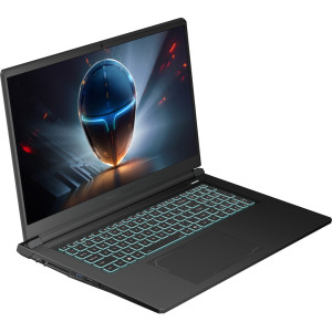 Ноутбук Thunderobot 911 X17 (911X17-i7136H56C1Q165MB)