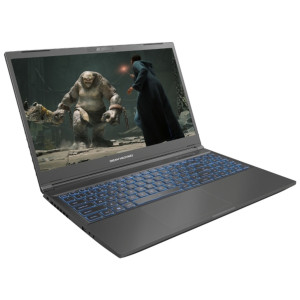 Ноутбук Dream Machines RG3050-15 (RG3050-15UA77)