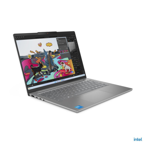 Ноутбук Lenovo IdeaPad Slim 5 14IRH10R (83J0006YRA)
