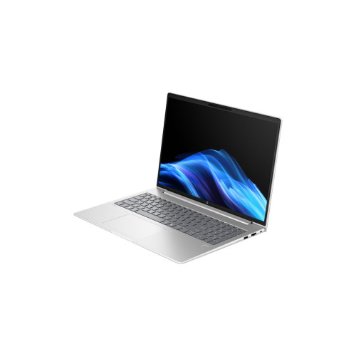 Ноутбук HP ProBook 4 G1a (AX7D4AV_V2)