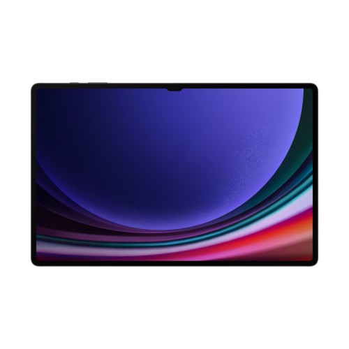 Планшет Samsung Galaxy Tab S9 Ultra 5G 16GB/1TB Graphite (SM-X916BZAISEK)