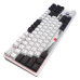 Клавіатура Dark Project One 87 Fuji ABS RGB Mech G3ms Sapphire USB Black/White (DPO87_GSH_Fuji_ANSI_UA)