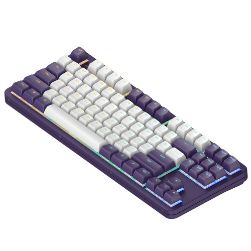 Клавіатура Dark Project ALU87 Celestial ABS RGB Mech G3MS Voidstone USB Violet (DPKB_VIOLET_87_ANSI_UA)