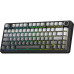 Клавіатура Aula F75 Gasket Reaper Switch Hot-Swap RGB Bluetooth/Wireless/USB UA Black/Grey (6948391209913) Клавіатура Aula F75 Gasket Reaper Switch Hot-Swap RGB Bluetooth/Wireless/USB UA Black/Grey (6948391209913)