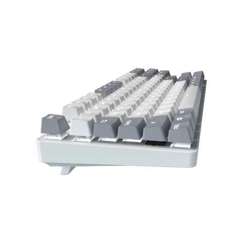 Клавіатура GamePro Genesis Metallic MK110W Outemu Red Switch USB UA White (MK110W)