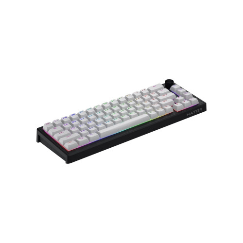 Клавіатура Hator Skyfall 65 MAG ULTRA 8K Aurum Ice RGB USB UA Black/White (HTK1860UA)