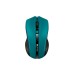 Мишка Canyon MW-5 Wireless Green-Black (CNE-CMSW05G)