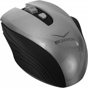 Мишка Canyon CNS-CMSW7G Wireless Black-Silver (CNS-CMSW7G)