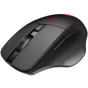 Мишка Canyon Crusader GMW-13 RGB Wireless Black (CND-SGMW13)