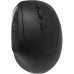 Мишка Canyon MW-25 LED Silent Wireless/Bluetooth Black (CNS-CMSW25)