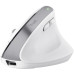 Мишка Trust Bayo+ Ergonomic Wireless/Bluetooth White (25399)