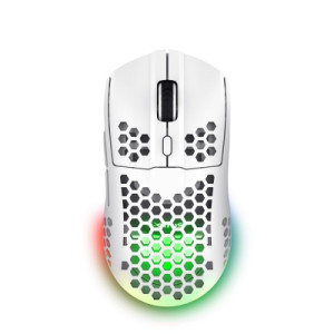 Мишка Trust GXT 929 Helox Wireless/USB-A White (25390)
