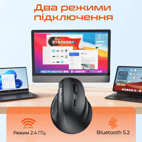 Мишка Meetion BTM010R RGB Bluetooth/Wireless Black (MT-BTM010R-A)