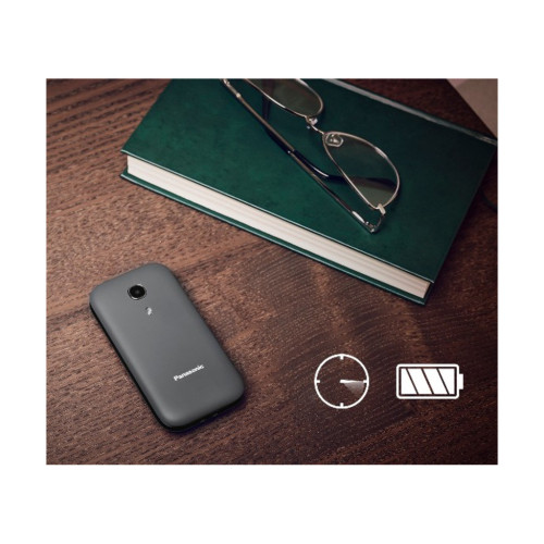 Мобільний телефон Panasonic KX-TU400 Grey (KX-TU400EXG)