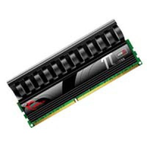 Модуль памяті для компютера DDR2 4GB (2х2GB) 1066 MHz G.Skill (F2-8500CL5D-4GBPI-B)