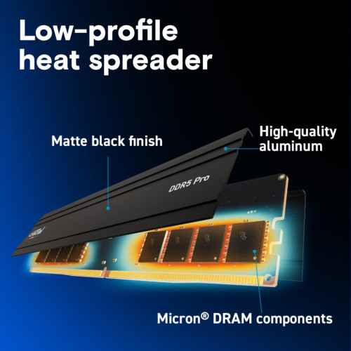 Модуль пам'яті для комп'ютера DDR5 16GB 5600 MHz Micron (CP16G56C46U5)