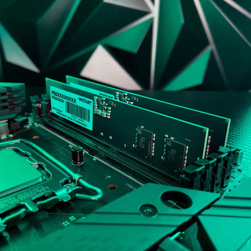 Модуль пам'яті для комп'ютера DDR5 16GB (2x8GB) 5600 MHz Signature Line Patriot (PSD516G5600K)