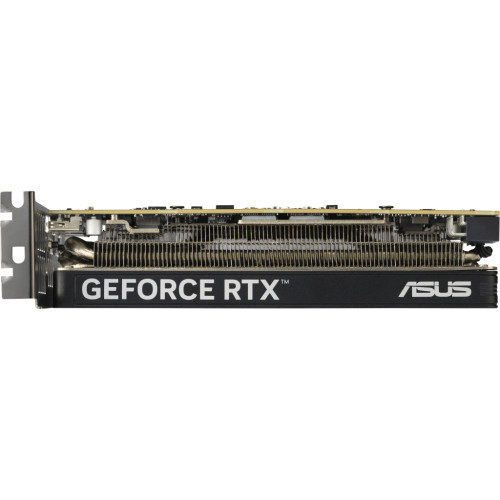 Відеокарта ASUS GeForce RTX5060 8Gb LP BRK OC (RTX5060-O8G-LP-BRK)
