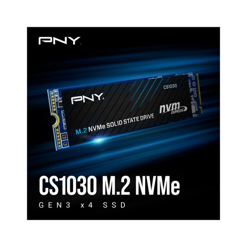 Накопичувач SSD M.2 2280 250GB CS1030 PNY (M280CS1030-250-RB)