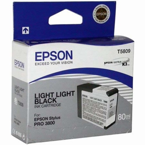 Картридж Epson St Pro 3800 light light black (C13T580900)