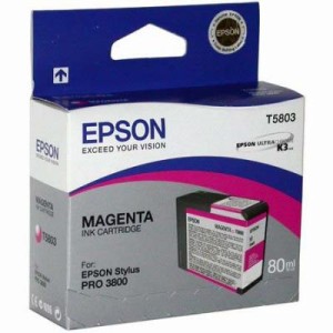 Картридж Epson St Pro 3880 magenta (Vivid) (C13T580A00)