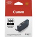 Картридж Canon PFI-300 Matte Black (4192C001)