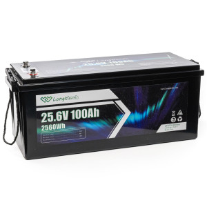 Батарея LiFePo4 Longttech 24V - 100Ah (LAR24100-LT160-P)