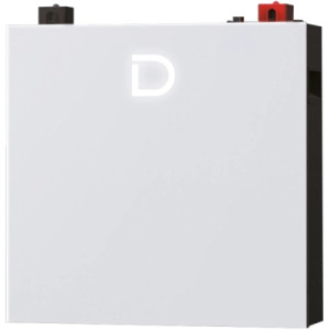 Батарея LiFePo4 Dyness DL5.0C Pro 51.2V - 100Ah (DL5.0C Pro)