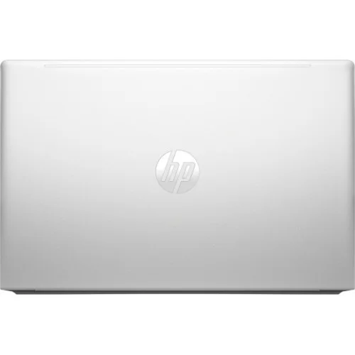 Ноутбук HP Probook 455 G10 (816P7EA)