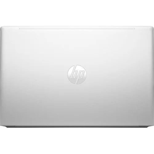 Ноутбук HP ProBook 455 G10 (719F9AV_V5)