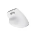 Мишка Trust Bayo 2 Ergonomic Wireless/USB-A White (25146)