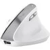 Мишка Trust Bayo 2 Ergonomic Wireless/USB-A White (25146)