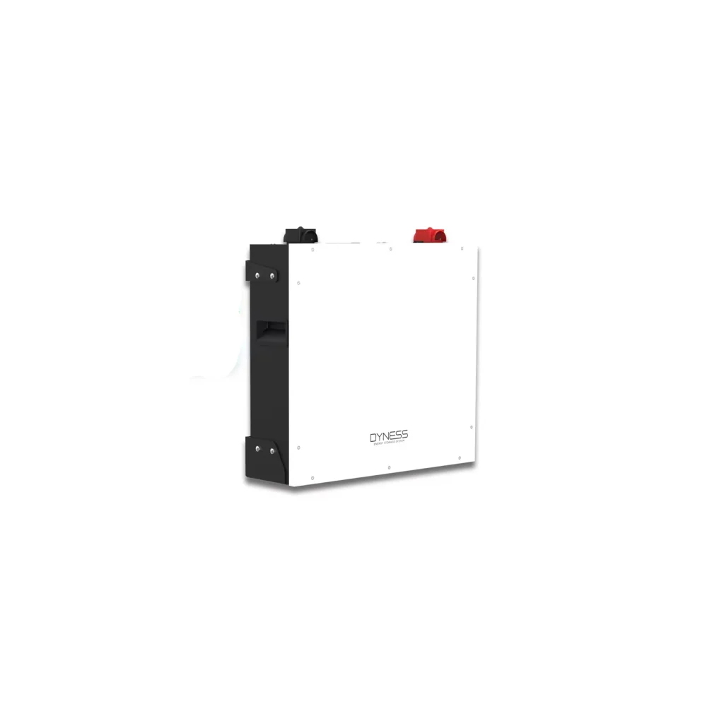 Батарея LiFePo4 Dyness DL5.0C Heat 51.2V/100Ah 5,12kWh (DL5.0C-H)