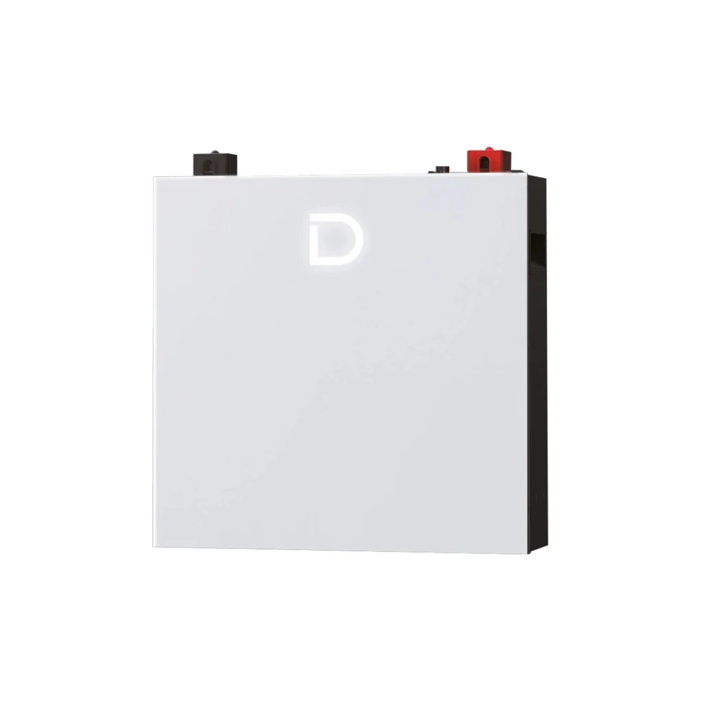 Батарея LiFePo4 Dyness DL5.0C Pro 51.2V - 100Ah (DL5.0C Pro)