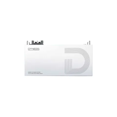 Батарея LiFePo4 Dyness DL2.5, 25.6V/100Аh 2,56kWh (DL2.5)