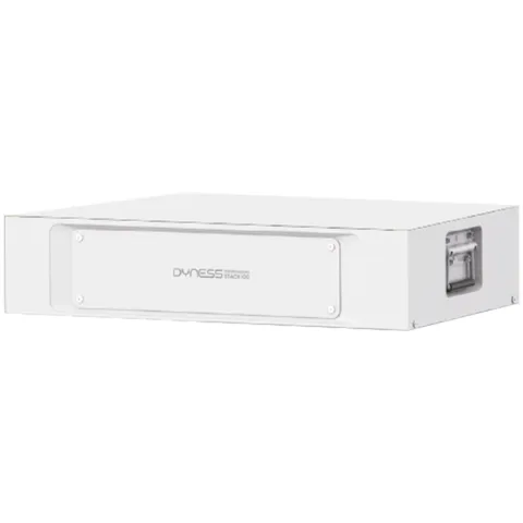 Батарея LiFePo4 Dyness STACK100 S51100 51.2V 100Ah 5.12kWh без BMS (S51100)